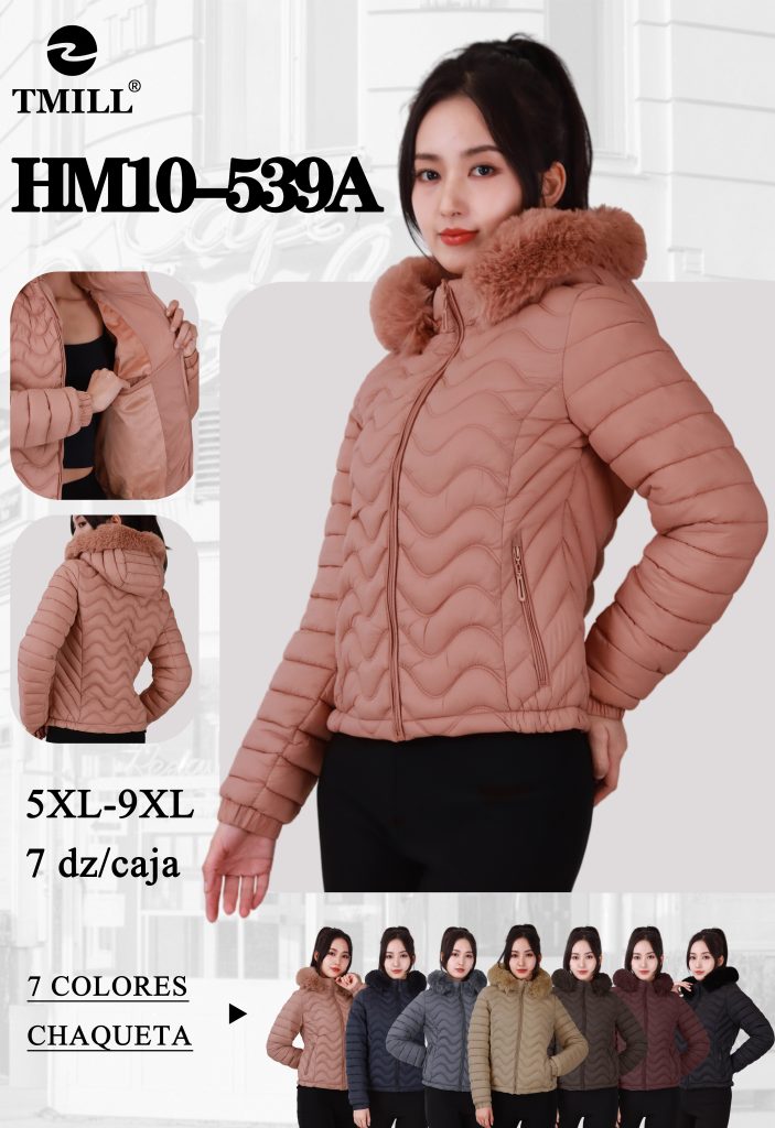 HM10-539