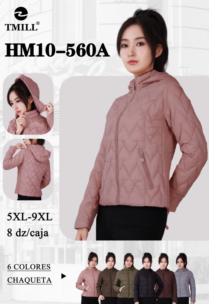 HM10-560A