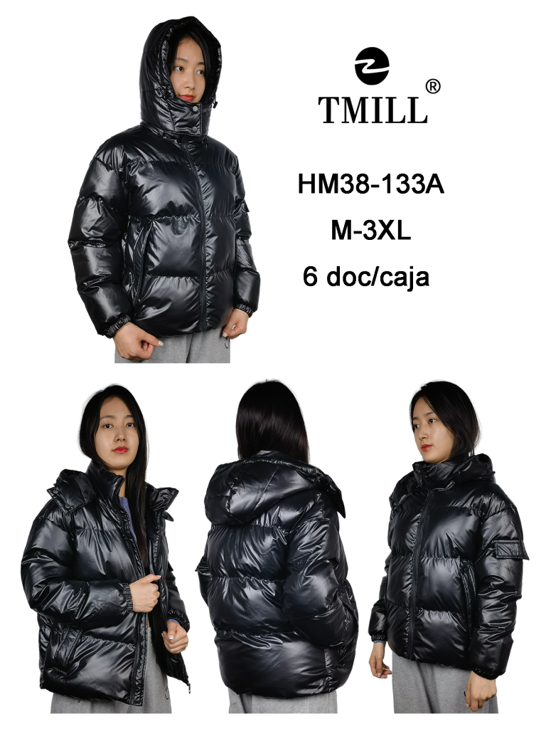 HM38-133A