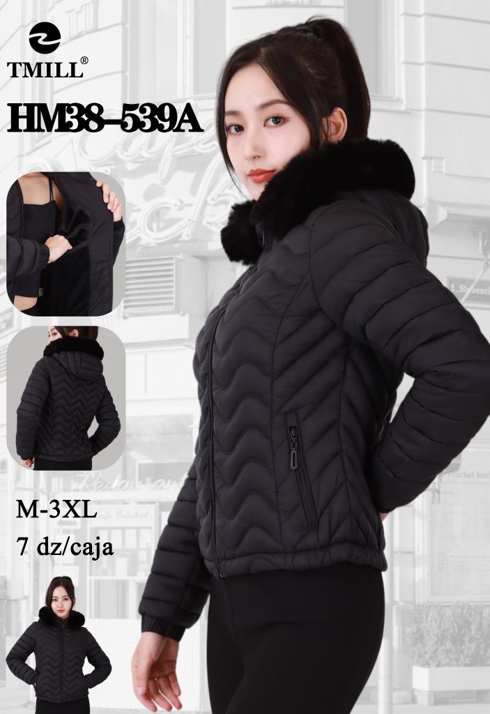 HM38-539A