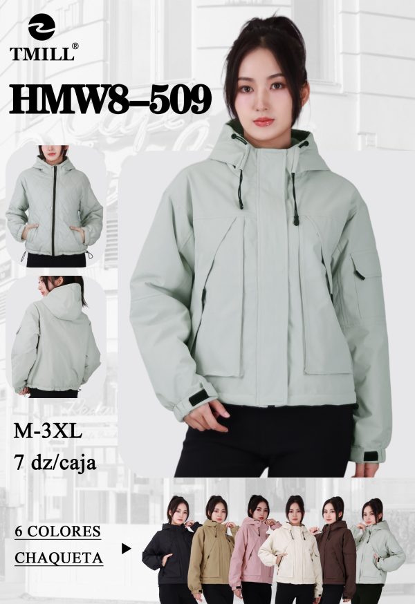 HMW8-509