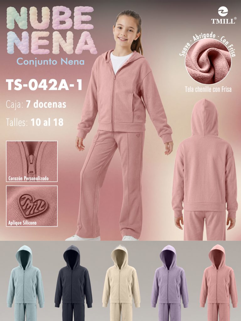 TS-042A-1